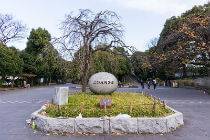 日本東京自由行景點-上野公園